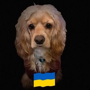 Meet your Posher, Beverly